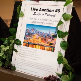 2019 Framing the Future Dinner and Auction