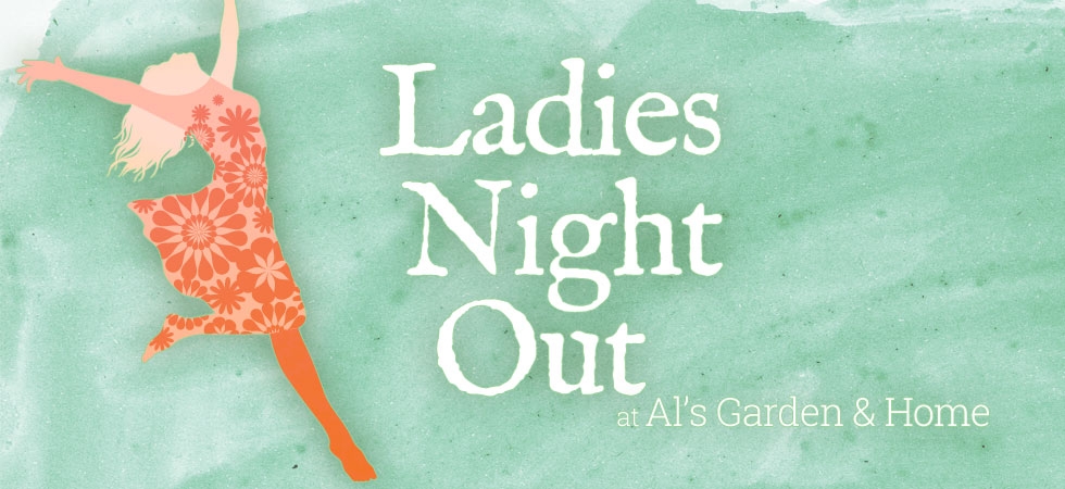 Ladies Night Out